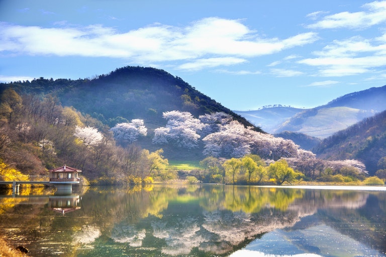 South Korea