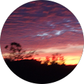 Michaela R. profile picture